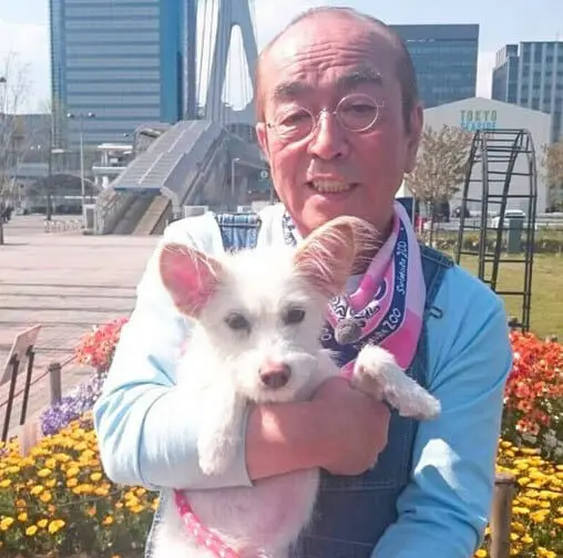 天才 志村どうぶつ園 捨て犬ゼロ部 その反響とは 日本テレビ