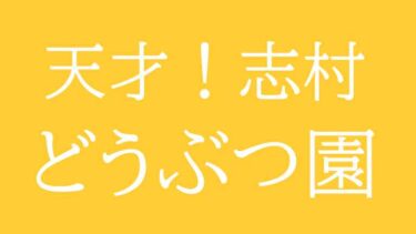 「天才!志村どうぶつ園」捨て犬ゼロ部。その反響とは?日本テレビ
